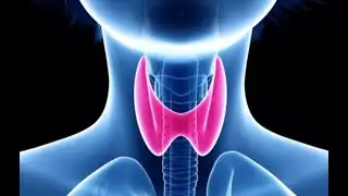 Thyroid Health: Iodine and Oxalates