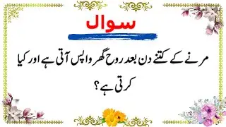 Islamic quiz- Islamic question answer in urdu- Important Islamic Questions Answers- best Paheliyan