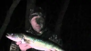 2011 Minnesota Walleye Opener