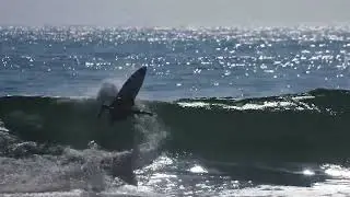 Basicamente Surf - Alejo Muniz 🌊