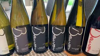 Neue Weine im WeinSchmecker