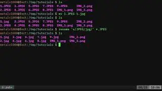 BASH Rename Multiple Files Linux Shell Tutorial