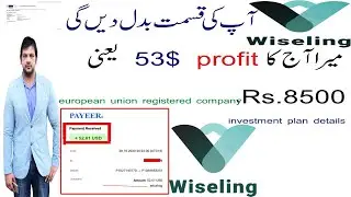 what is wiseling company | wiseling review in urdu|hindi |registration | plan |earning money online
