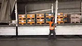 SEGALIN movimentazioni