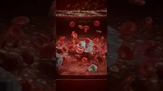 Понимание гемофилии