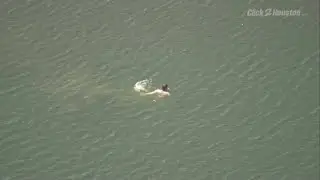 Naked man swims in McGovern Lake at Hermann Park