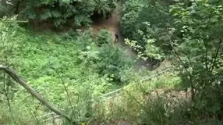 Северная Чехия. Правчицкие ворота кратко