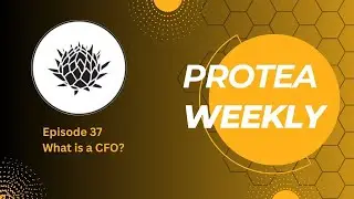 Protea Weekly - Episode 37 - What is a CFO?