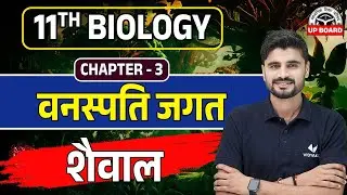 शैवाल (Algae) | Class 11th Biology Ch 3 वनस्पति जगत | Class 11 Biology Chapter 3 UP Board