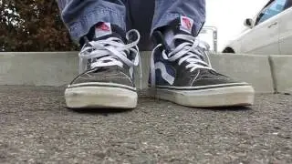 Slaughterhouse V