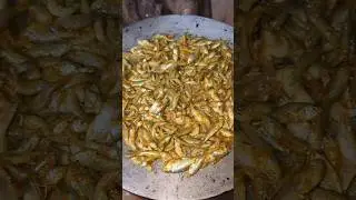 Small Fish recipe || Tawa fish fry 🐟🐠🦐 village tribal food #shorts #food #fishthali