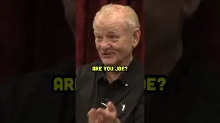 Bill Murray learns who Joe Rogan is ON his podcast 😂😭