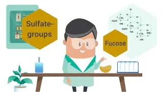 What is Fucoidan?  Fucoidan definition, Fucoidan efficacy and its health benefit explained!!