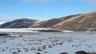 hughes 300 flight new zealand high country.wmv