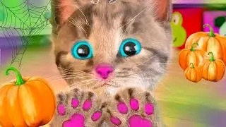 Little Kitten Adventure New Cat House 😸 Best Episodes Pet Educational Video for Toddlers & Kids