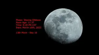 Waxing Gibbous Moon - Age 11.37 - March 10th, 2025 - 9:28 PM CST (13th Moon - Day 10)