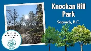 Exploring Knockan Hill in Saanich: The Secret World of Garry Oak Trees