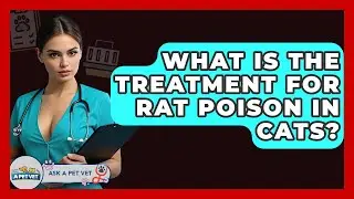 What Is The Treatment For Rat Poison In Cats? - Ask A Pet Vet