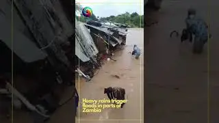 Heavy Rains triggers floods in parts of Zambia