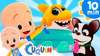 Baby Shark with Balloons!! | Cuquin and Friends