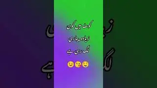 Koat me Kon pyari lgrhi ha 😉😘💞###foryou ###pakistanidrama ###youtubeshorts ###entertainment ###love