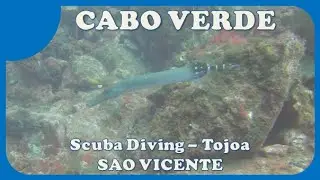 BEAUTIFUL CABO VERDE - SAO VICENTE - Tojoa - SCUBA DIVING