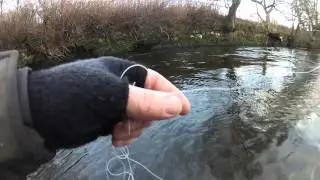 A river running though with Dave Downie