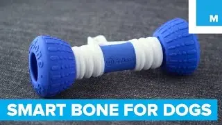 This Smart Bone will Keep your Dog Playing for Hours | Mashable