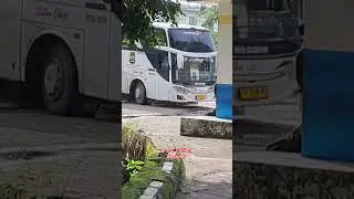 Bus NPM Livery Lawas Nya..Bedak Menempel