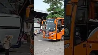 Bus Pariwisata GUMARA Transport