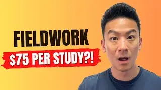 Fieldwork Review - Easy $75 Per Interview? (Let's Find Out)...