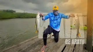 Dois lindos ROBALOS com Jig Head ADJIGS e Camarão Artificial