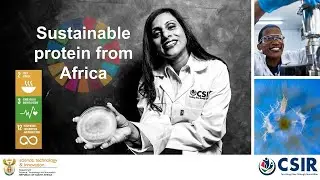 Sustainable protein from Africa