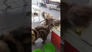 my everyday customer...