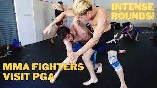 Pro MMA Fighters Go to WAR Grappling | Phuket Grappling Academy, Phuket, Thailand