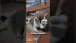 ЭТИ ПРОМОКОДЫ НЕ ДОЛЖНЫ БЫЛИ ВСПЛЫТЬ #standoff2 #стандофф2призракпротив4про #со2