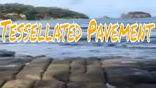Tessellated Pavement at the Eaglehawk Neck