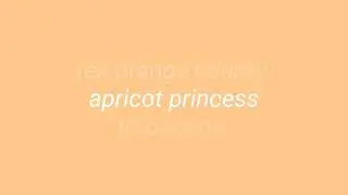 rex orange county - apricot princess (paroles et traduction)