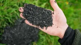 Small-scale power plants to convert waste into low-carbon energy.