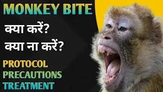 बंदर के काटने पर यह गलती ना करें । Monkey bite Treatment। Precaution and Protocol।