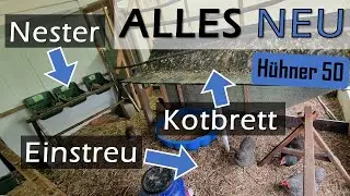 🧽 Großer Frühjahrsputz im #Hühnerstall 🧹 Einstreu, Nester & Kotbrett neu machen - #Hühner 50