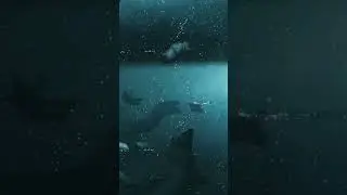 Bionic Bay Gameplay Full Gameplay