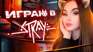 ПРОХОЖДЕНИЕ STRAY C CALYPSO  🔥 САМЫЕ МИЛЫЕ КОТИКИ ТОЛЬКО НА ЭТОМ СТРИМЕ