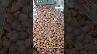 High Quality Peanut Packaging Machine