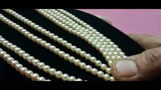 Happy Sunday #9949614595 #Mamata collections #🌿🍁🌿🍁🌿
