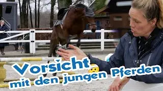 Gebrochene Finger, springende Dressurpferde und Reisevorbereitungen f&uuml;r die Pferde