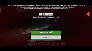 Minecraft 1