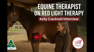 Interview with Equine Therapist Kelly Cracknell on the Use of Red Light Therapy