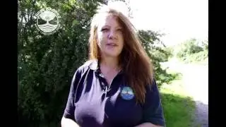 Bradley Stoke See Some Of What We Do