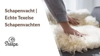 Schapenvacht | Echte Texelse Schapenvachten | De Selectie Van Een Prachtig Natuurproduct | Skeepe